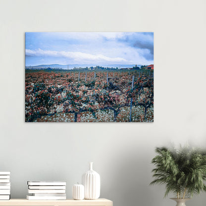 c2504b93-e6fe-4c51-bc81-4c60ee0d0283