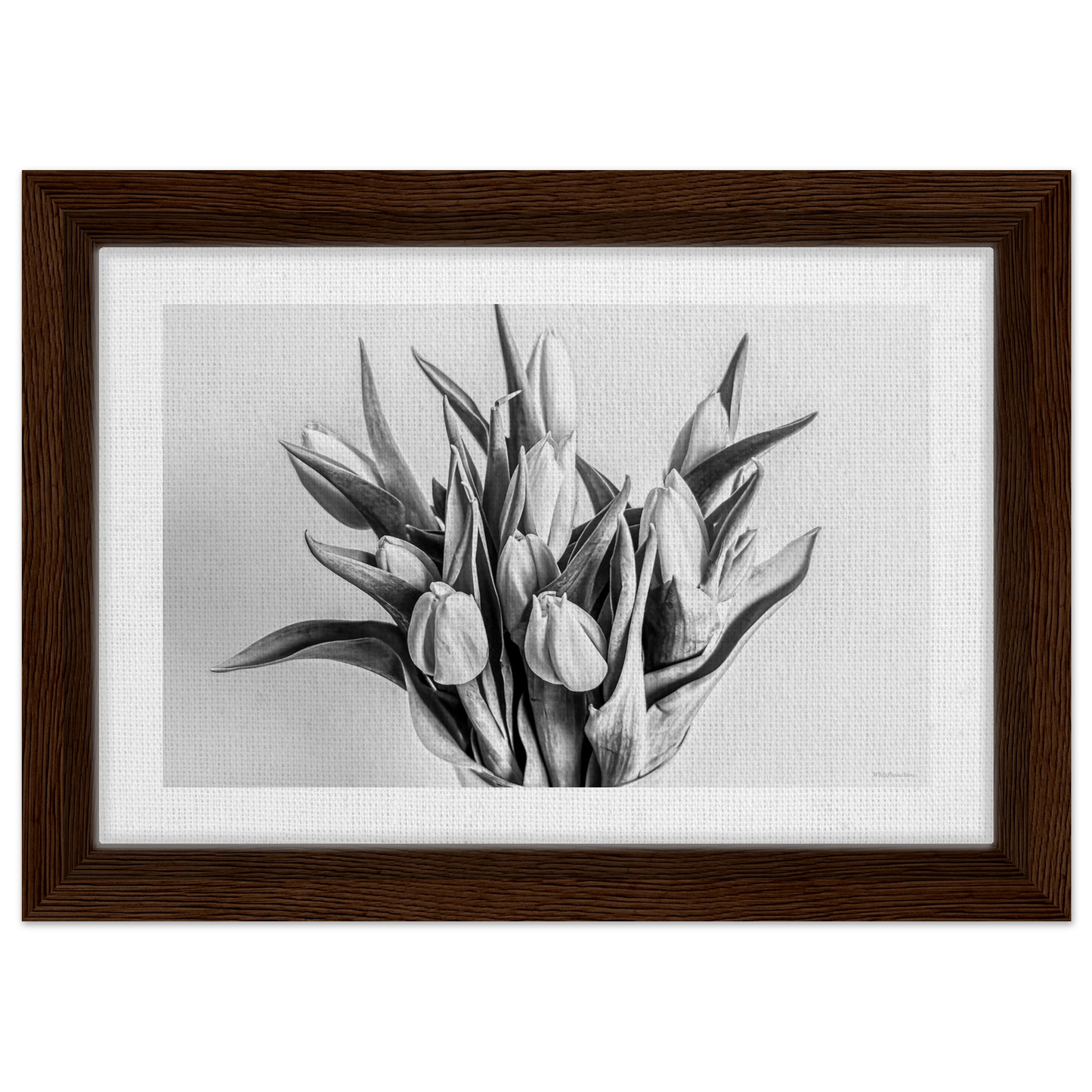 c2696957-317a-40c3-a055-f62f11daffea