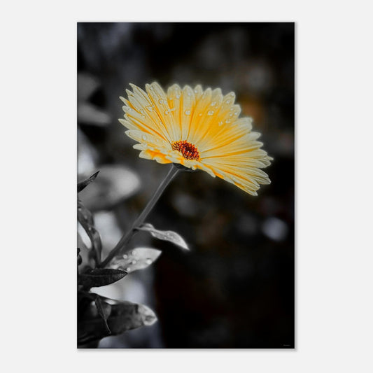 c2754890-910a-4c3a-bab9-0f36f02d59ed