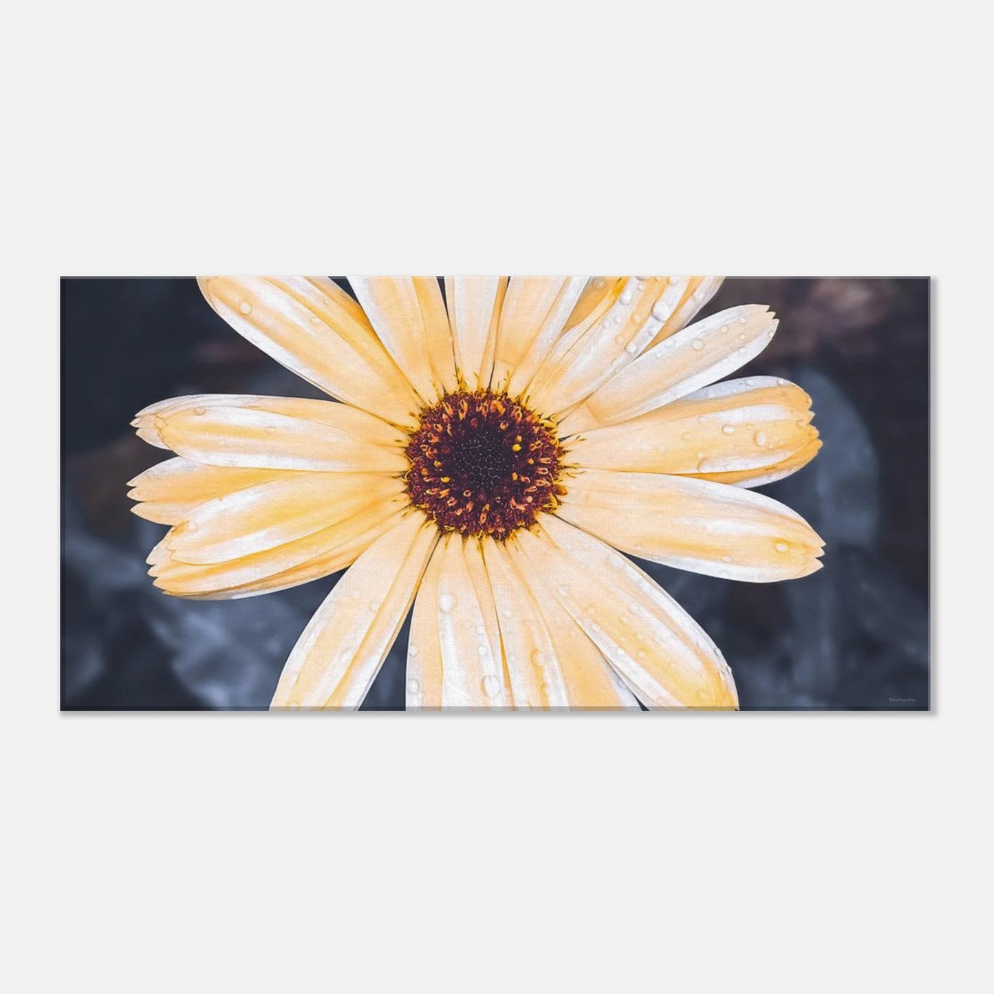 c28398ff-e783-4bea-86dd-9401391e5ec7