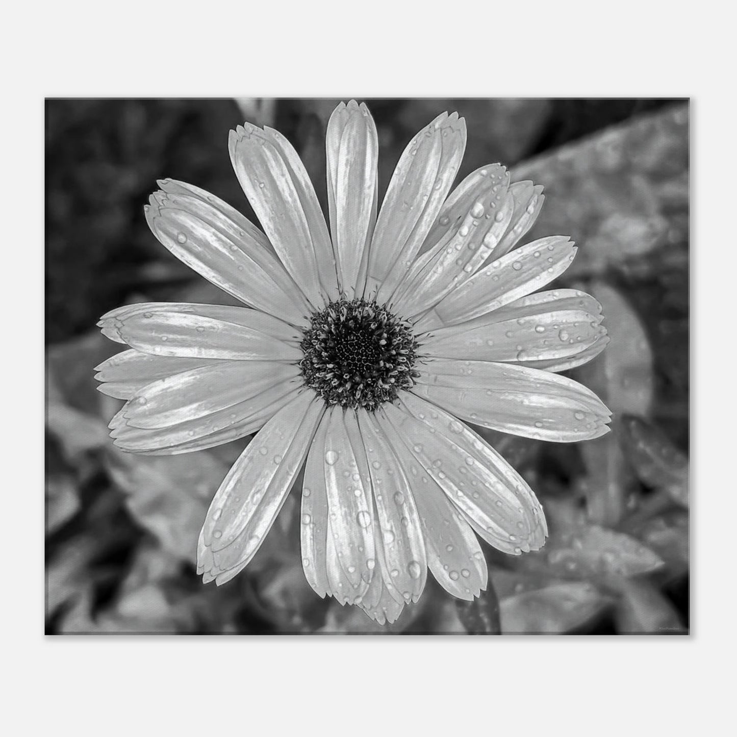 c29a3f5b-dc44-4428-b7e6-17ae6b1f21b9