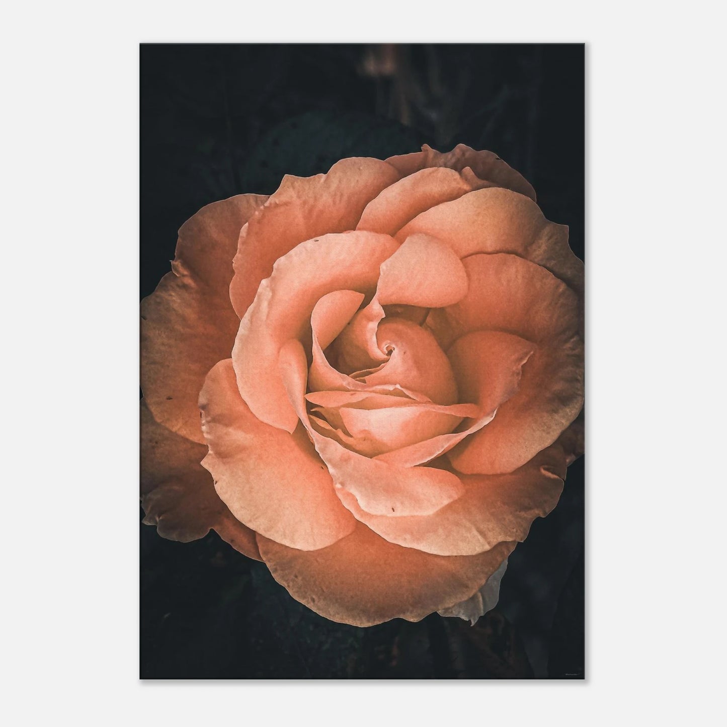 c29d7c81-c795-4a9b-8357-f4863d08ae17