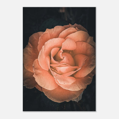 c29d7c81-c795-4a9b-8357-f4863d08ae17