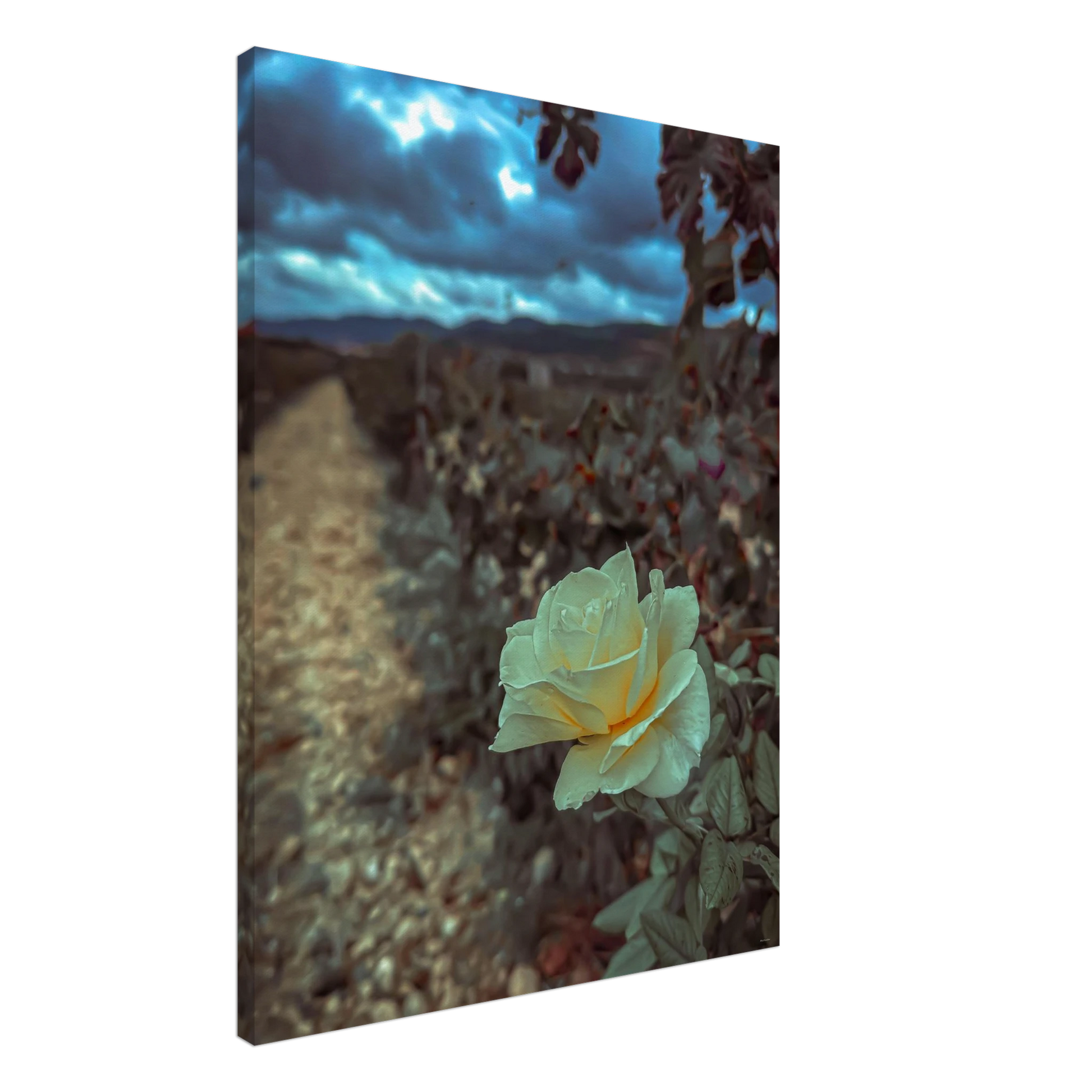 c2a68c9b-ede2-4997-bd72-f2c0c05cf58f