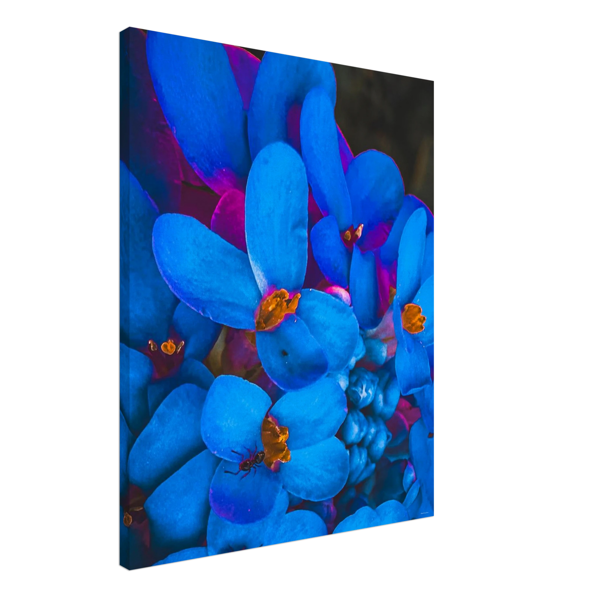 c2ab46f8-2311-43d3-b68c-e918a9389fd0