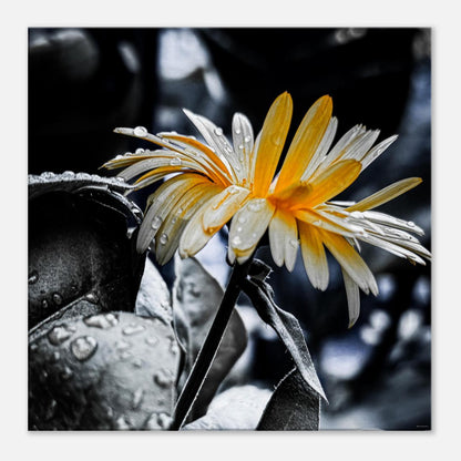 c30781a6-1502-45b6-baa3-a27a0369a98d