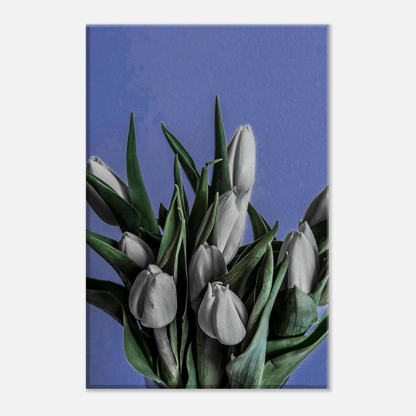 c33cb699-43e9-4768-8d34-6269926fc7b3