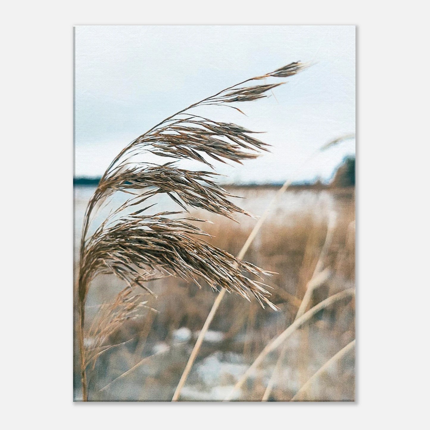 c381a8e7-0fae-4868-abaf-434e773c4254