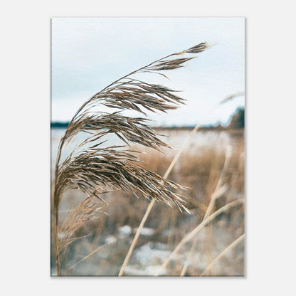 c381a8e7-0fae-4868-abaf-434e773c4254