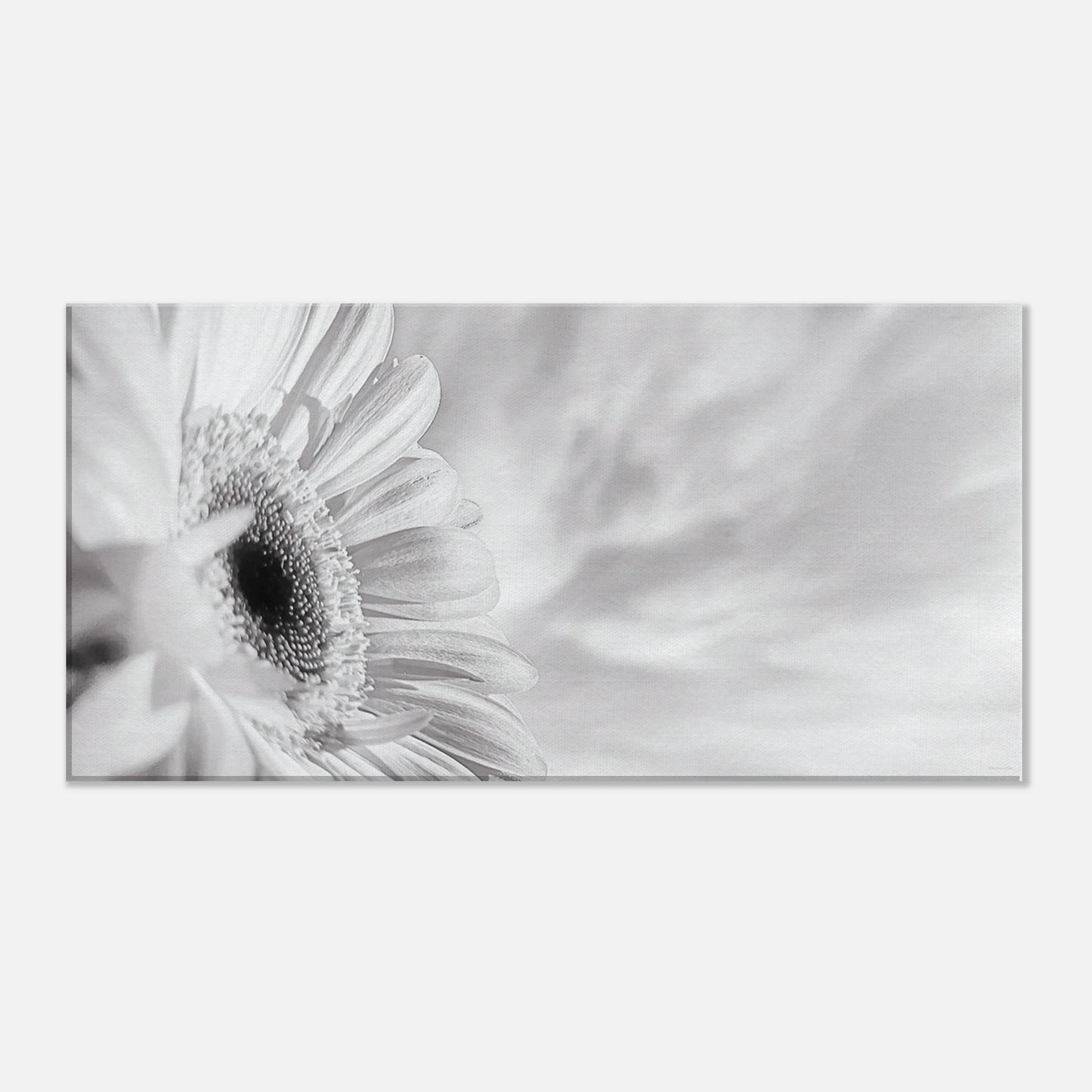 c38a3f12-32af-4b3b-a1d4-39f982a25bed