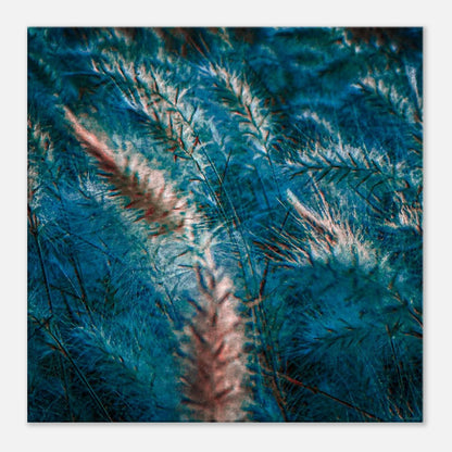 c3bb0e11-13d0-4b81-92b6-b9344a7fa028