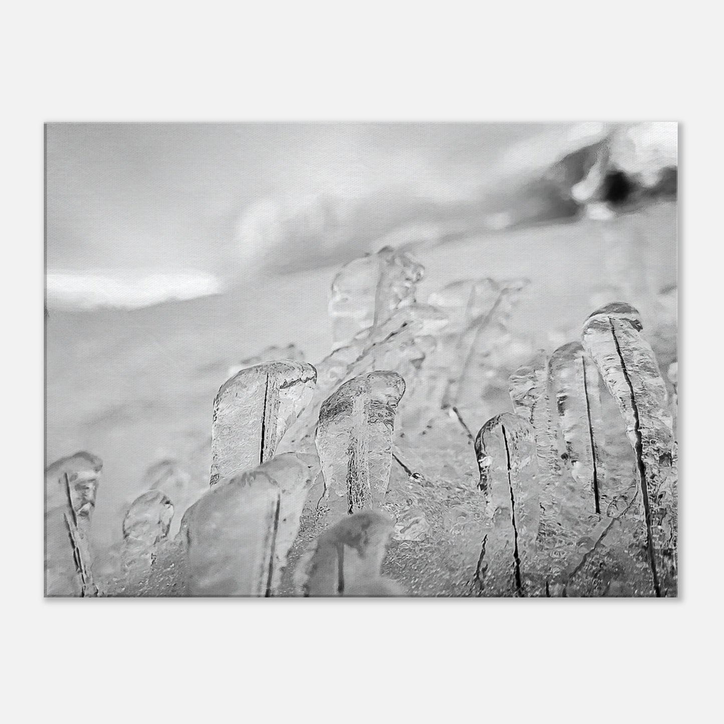 c3d98a97-d346-422c-87d8-bd840637abd1