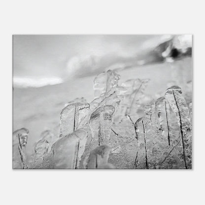 c3d98a97-d346-422c-87d8-bd840637abd1