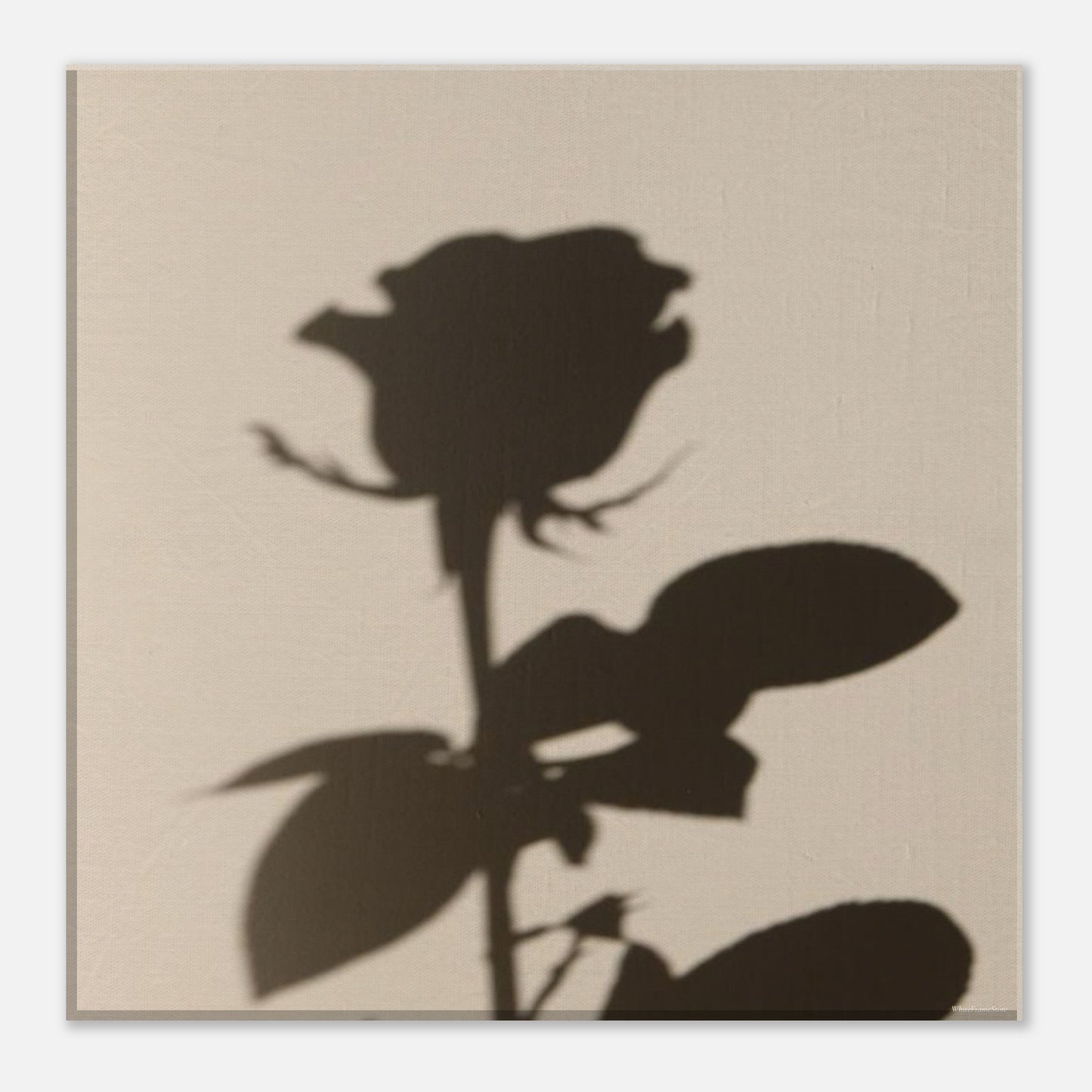 c408c0f6-646f-4c89-bb54-e633a3d125f8