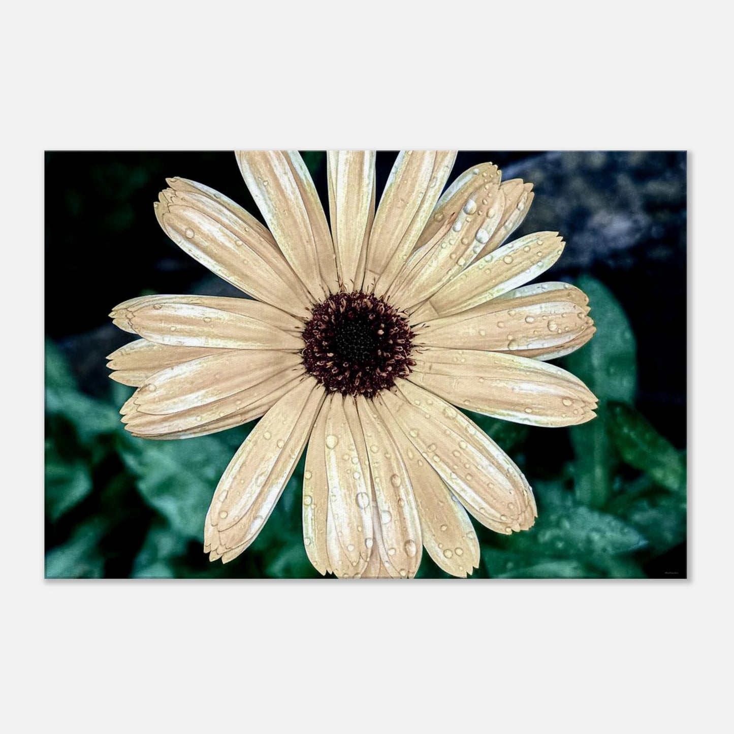 c413b9df-eed7-4aa7-837c-304b741ab6d2