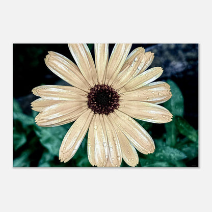 c413b9df-eed7-4aa7-837c-304b741ab6d2