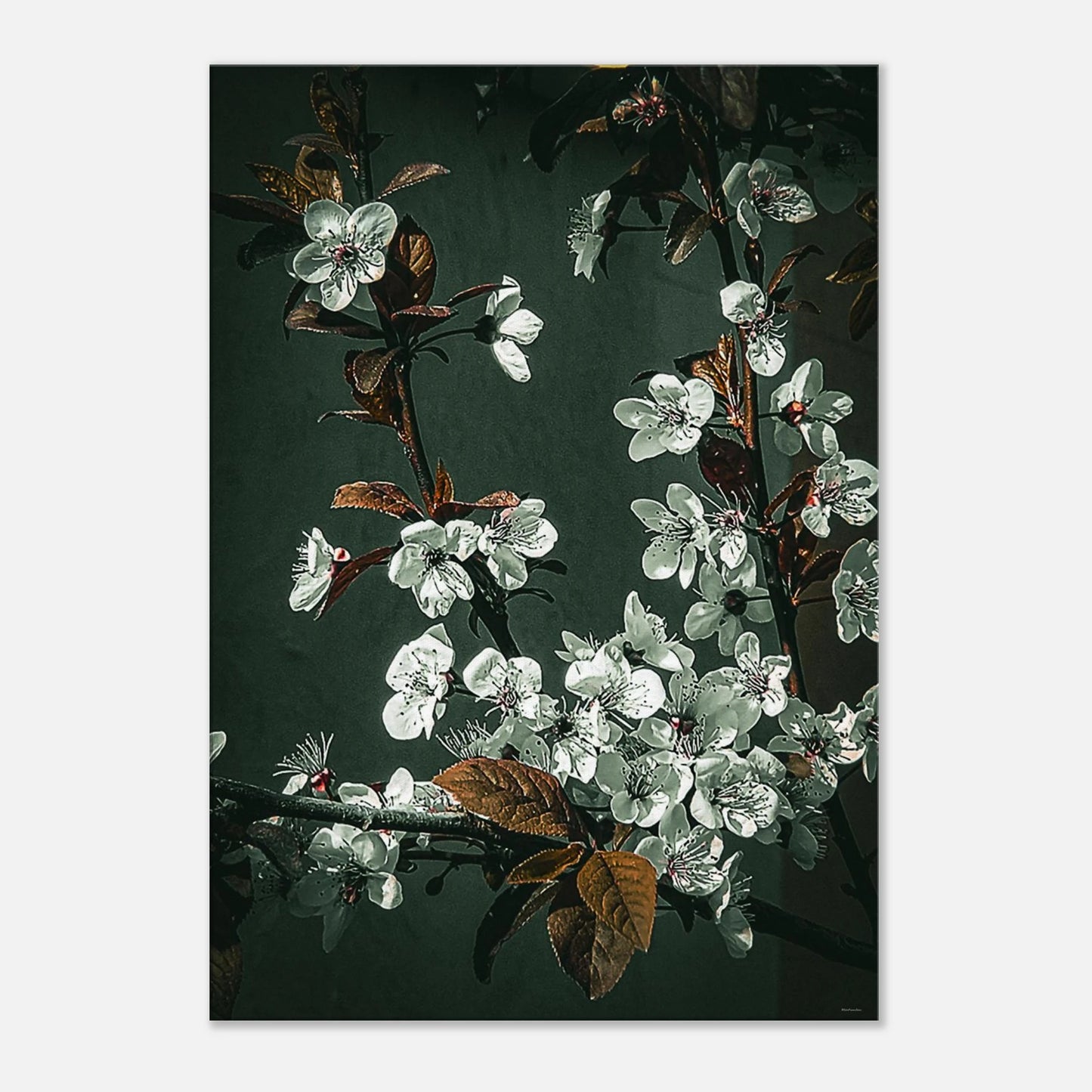 c4468fd0-35d7-4039-b5a6-1cbff046442e