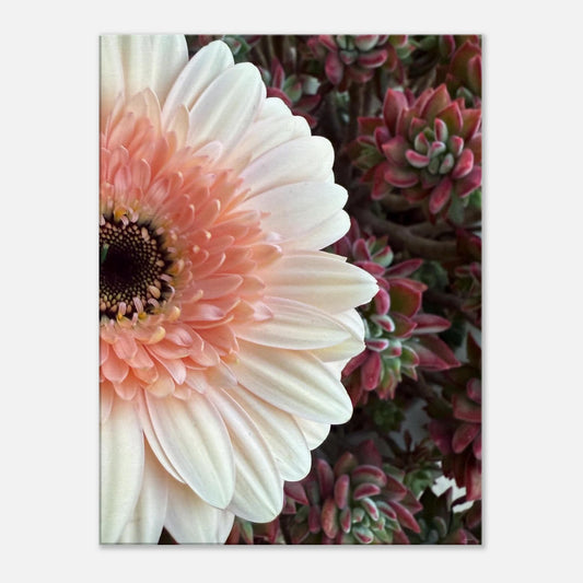 c4564dc5-eb36-4906-9595-9669f7c26d70