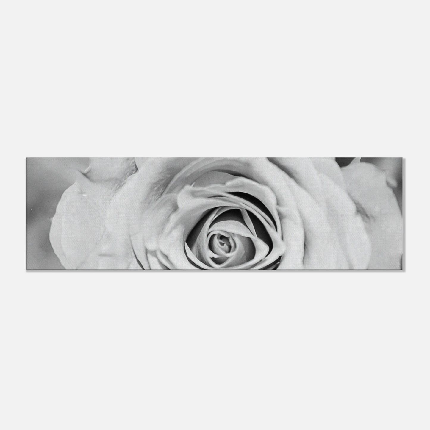 c45f4343-a216-4769-b0b8-97a503bff410