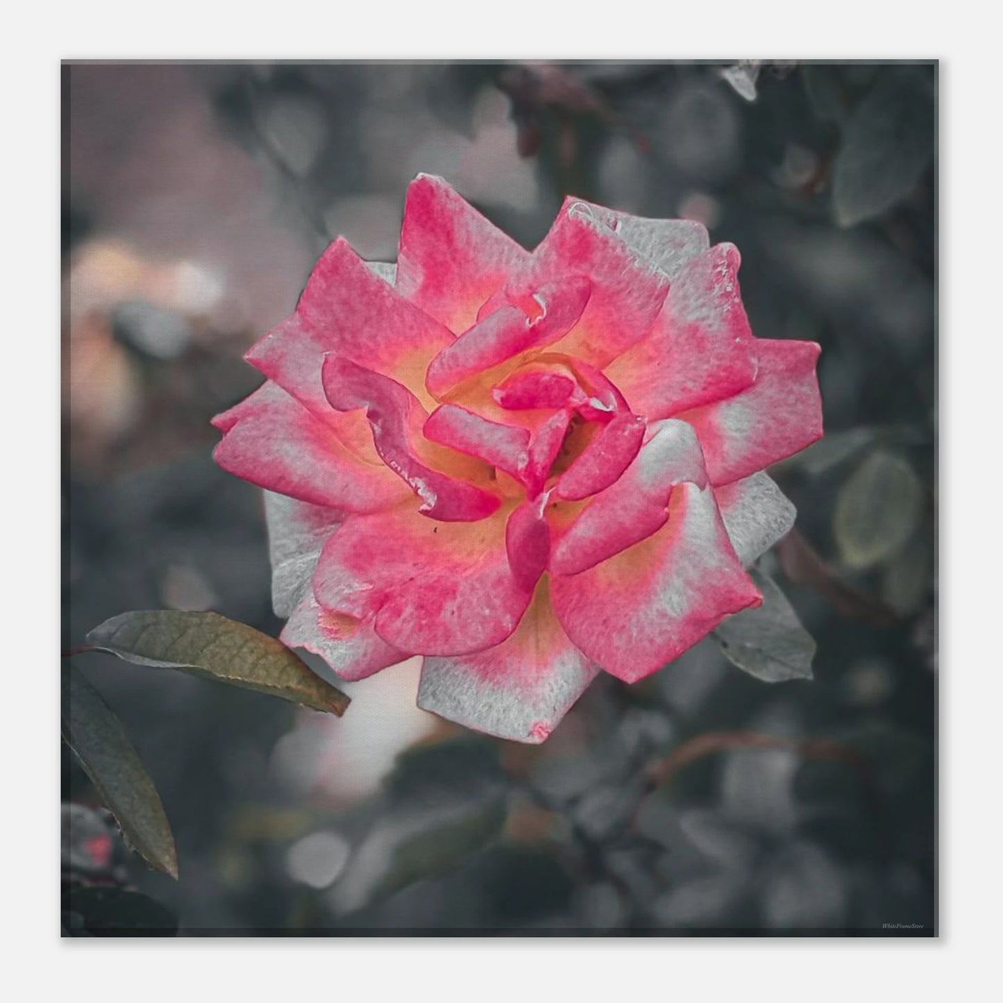 c468c7b1-9998-44ef-a787-e00c0253e691