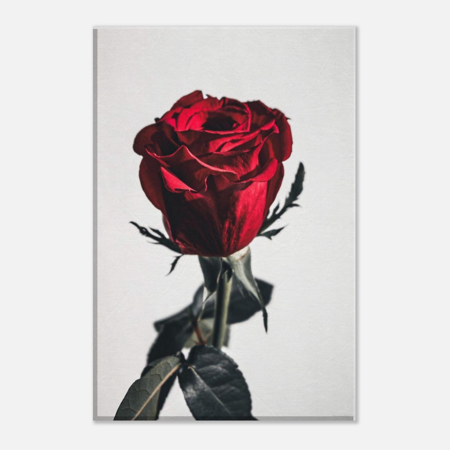 c48b8ee3-efdf-4a7b-a271-a3a26bcbb515