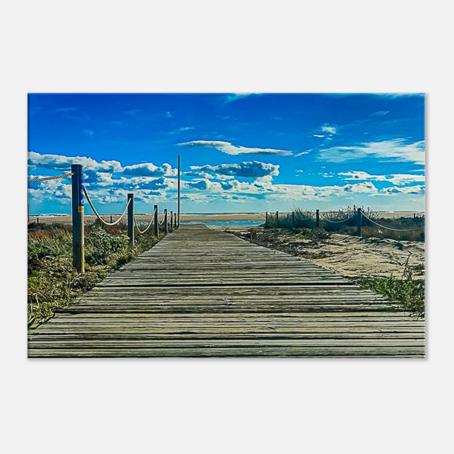 c494207a-4fe3-42f1-9974-46ea4210fc42