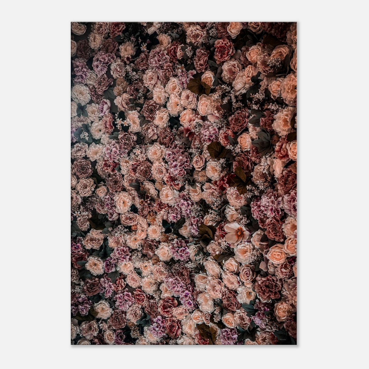 c50ec65c-9e58-4fbd-ad46-139c397146e9