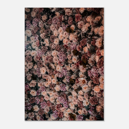 c50ec65c-9e58-4fbd-ad46-139c397146e9