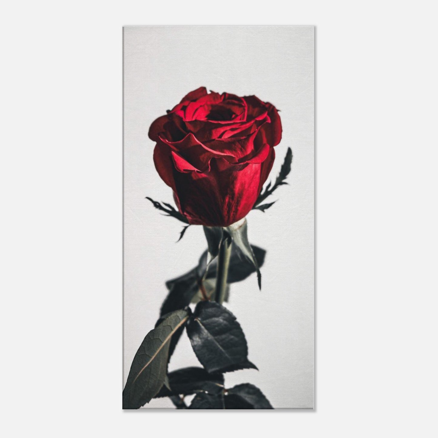 c5483027-3901-4a54-a54d-85a99ef8bfbe