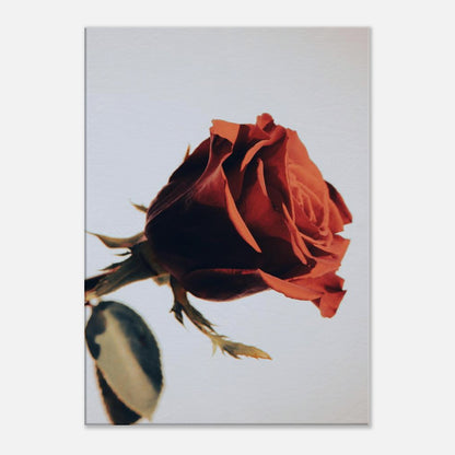 c5494a1c-6bd5-4b8f-b0eb-d8b15ecdf3d3