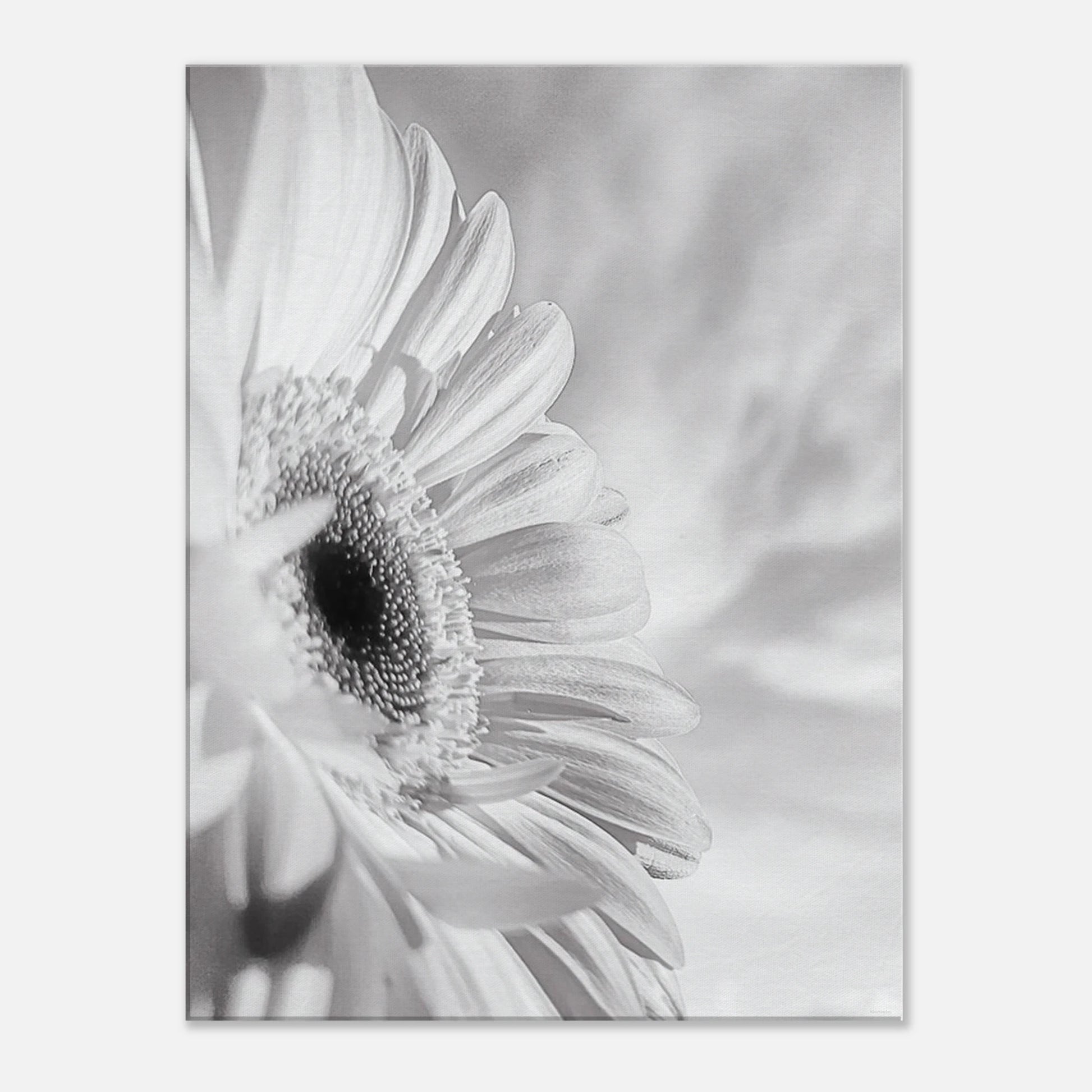 c54b4950-f48e-43f2-9d0a-fd5aaabc797a