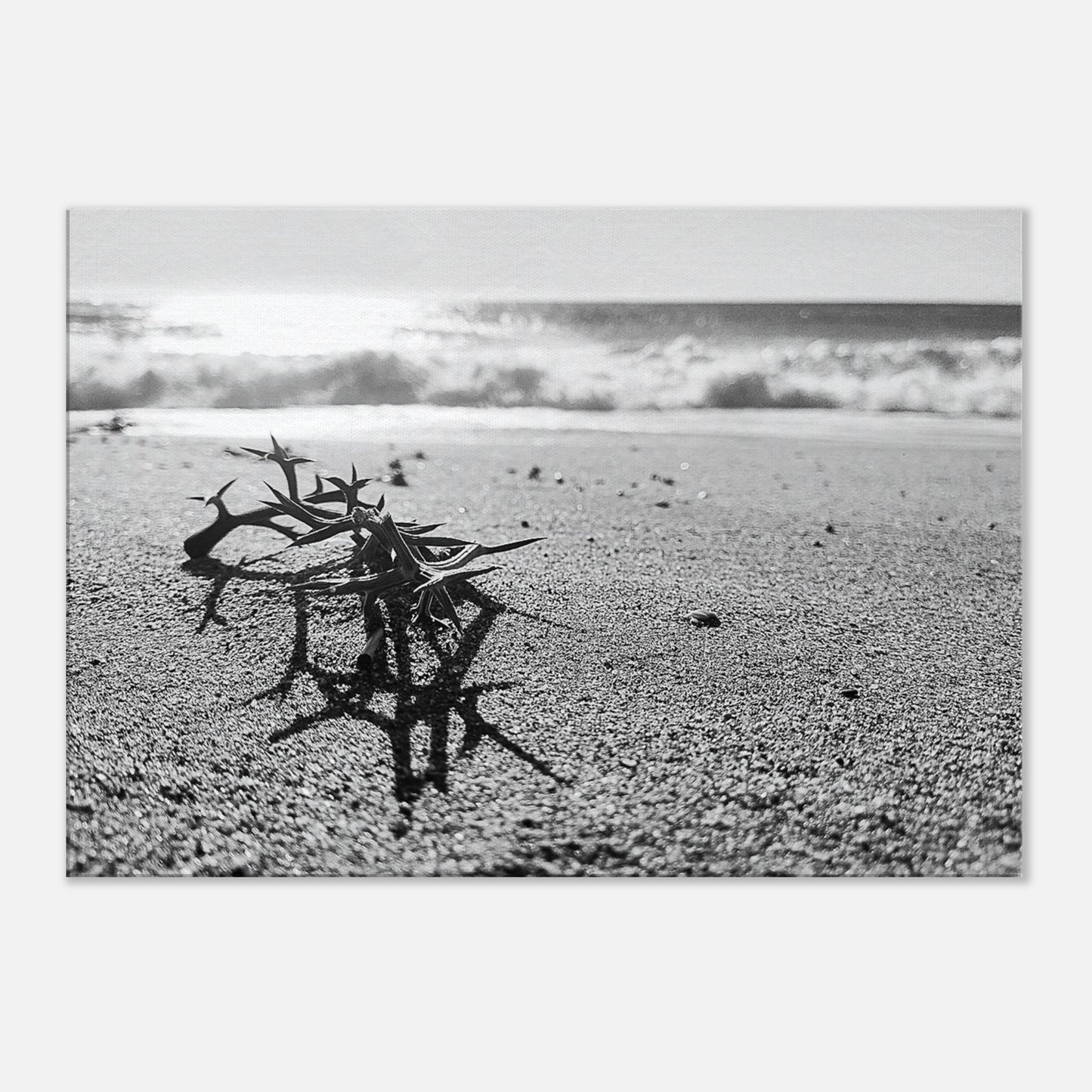 c55c3fe6-e21e-4aee-8a89-679f175a4726