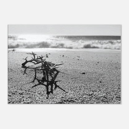 c55c3fe6-e21e-4aee-8a89-679f175a4726