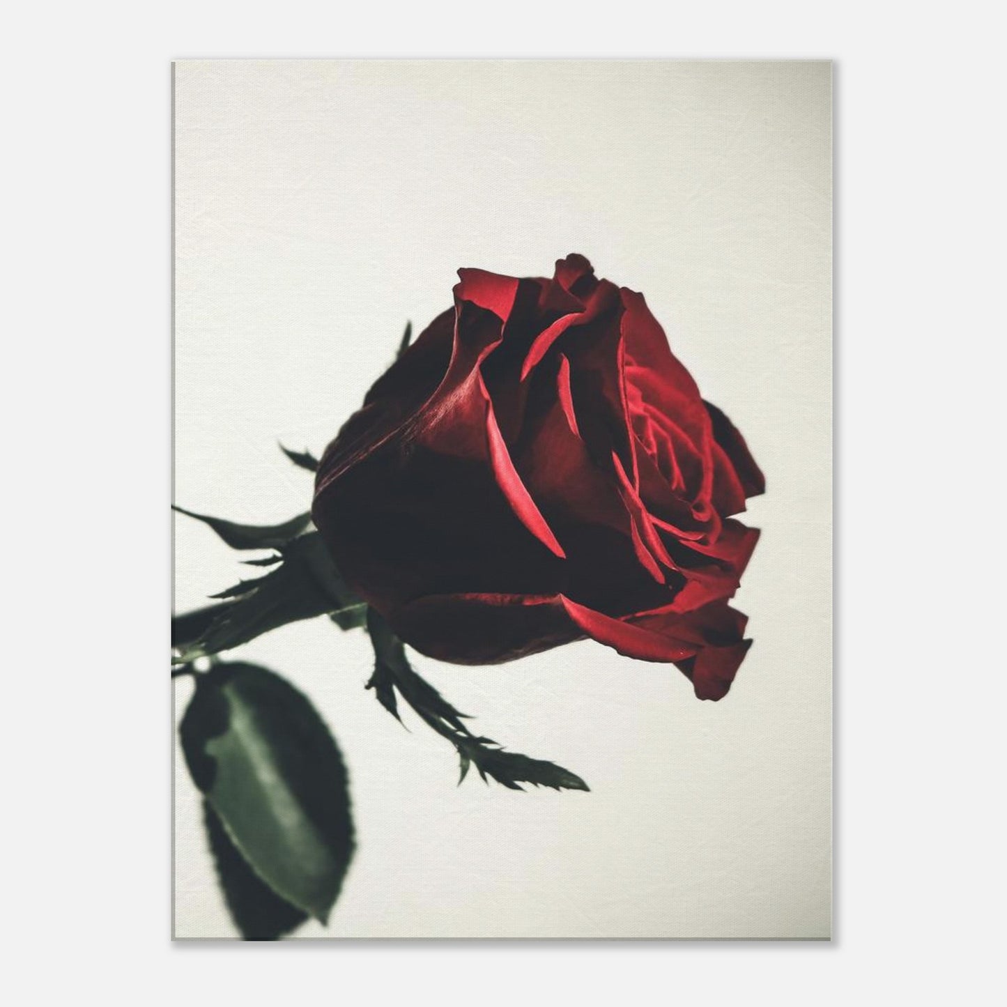 c56d78eb-e5e6-4e3f-8044-466c86bbdf93