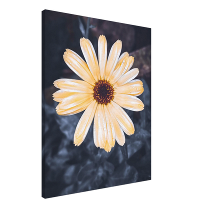 c5bdc897-6baa-4ece-9151-365595ca3095