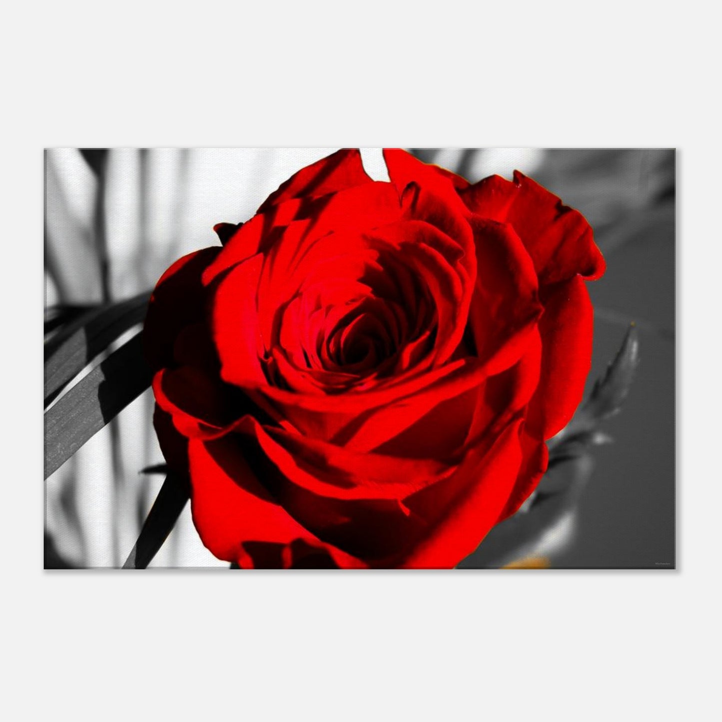 c5c00df1-8bb1-49b3-bc1f-1ed1e42fd2dd