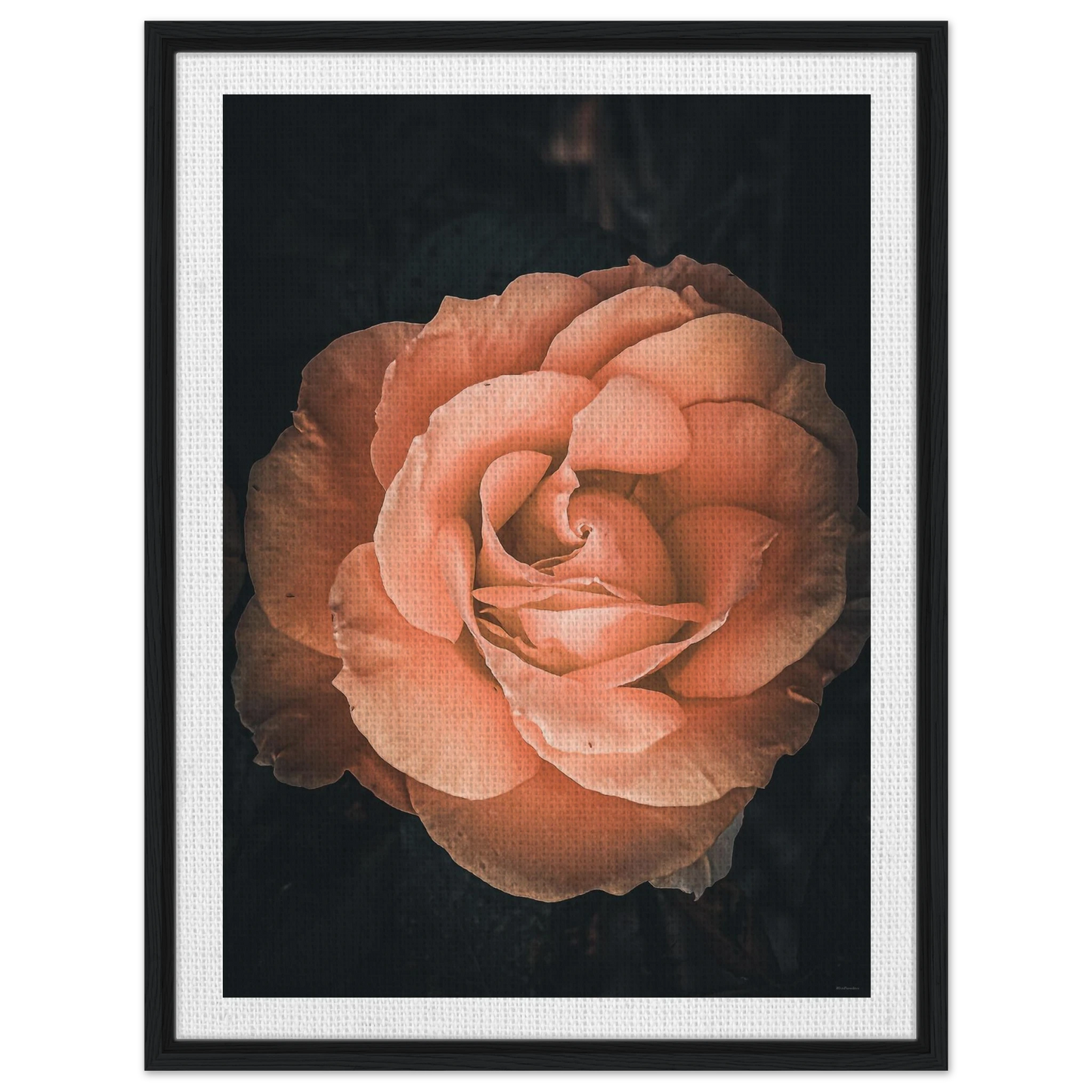 c5dc7c6f-7df2-4bf7-add8-2be9071c8b1d