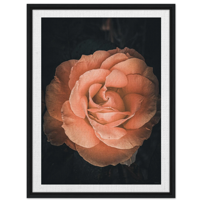 c5dc7c6f-7df2-4bf7-add8-2be9071c8b1d