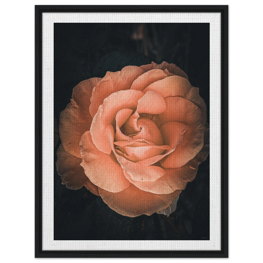 c5dc7c6f-7df2-4bf7-add8-2be9071c8b1d