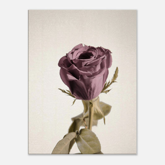 c6006a95-1308-4e7b-a462-bb562e506fea