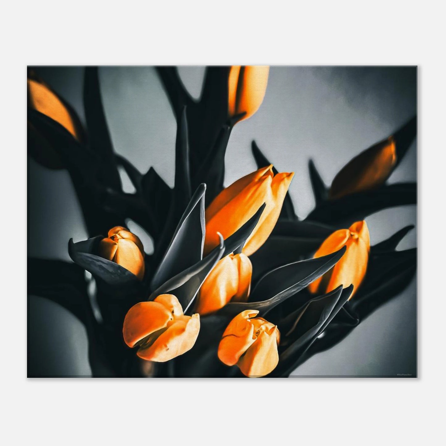 c6057f00-254b-4799-8e97-cb73962e88c9