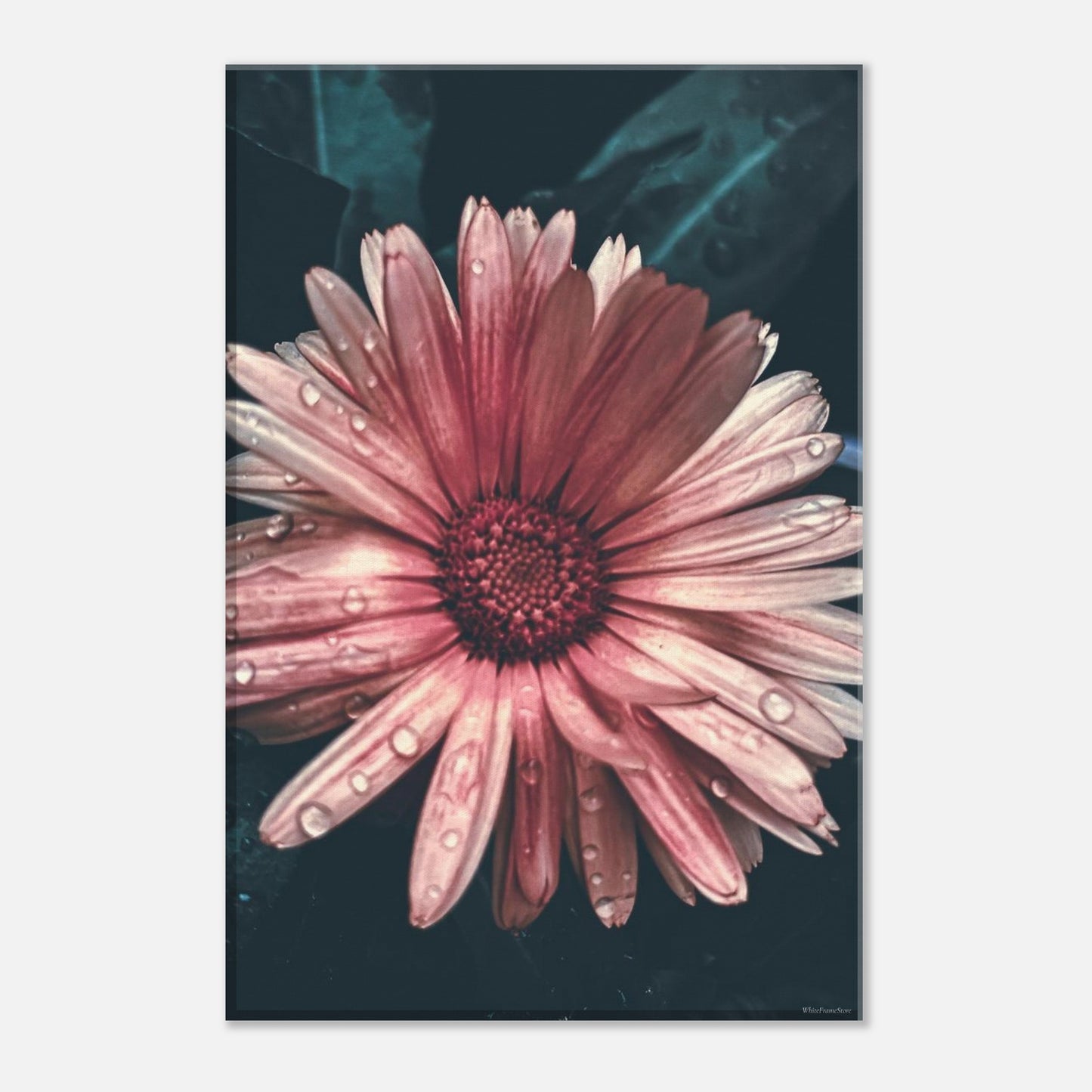 c6280aac-e123-426d-8240-86327f0cac21