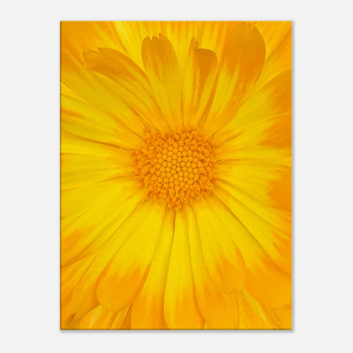 c64a1f2d-02bd-439d-9feb-21866968c365