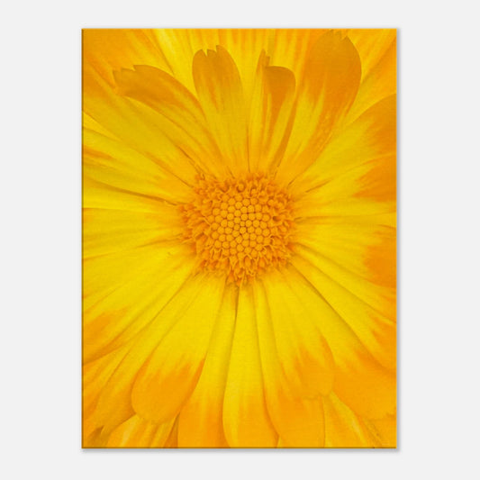 c64a1f2d-02bd-439d-9feb-21866968c365