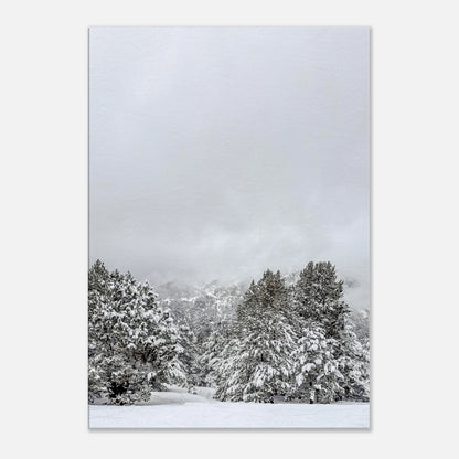 c64f8657-834a-4021-9f17-d85c045521b3