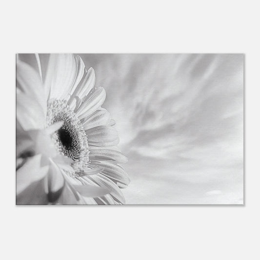 c6738b2f-4eb5-47e2-af01-af9f1ab6486a