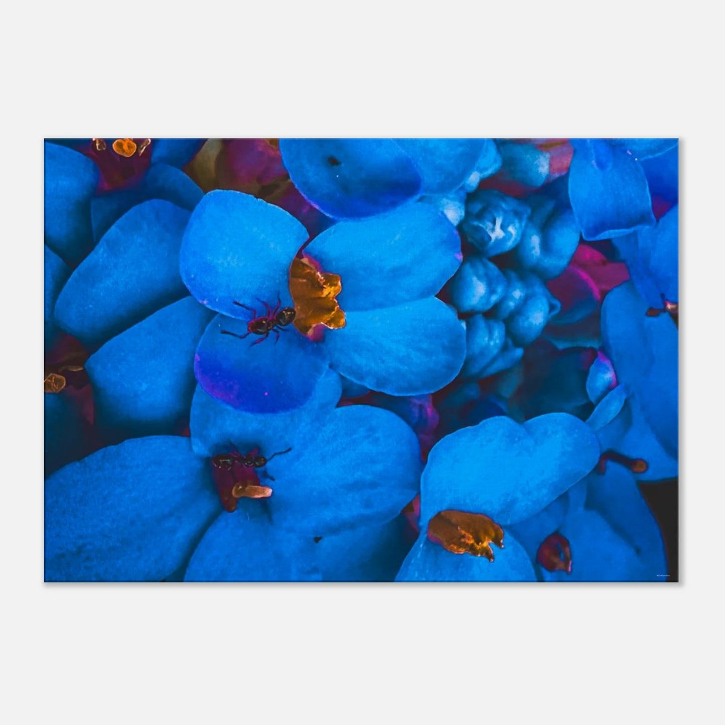 c67eb127-349f-4146-bac0-8eb9675f70e6