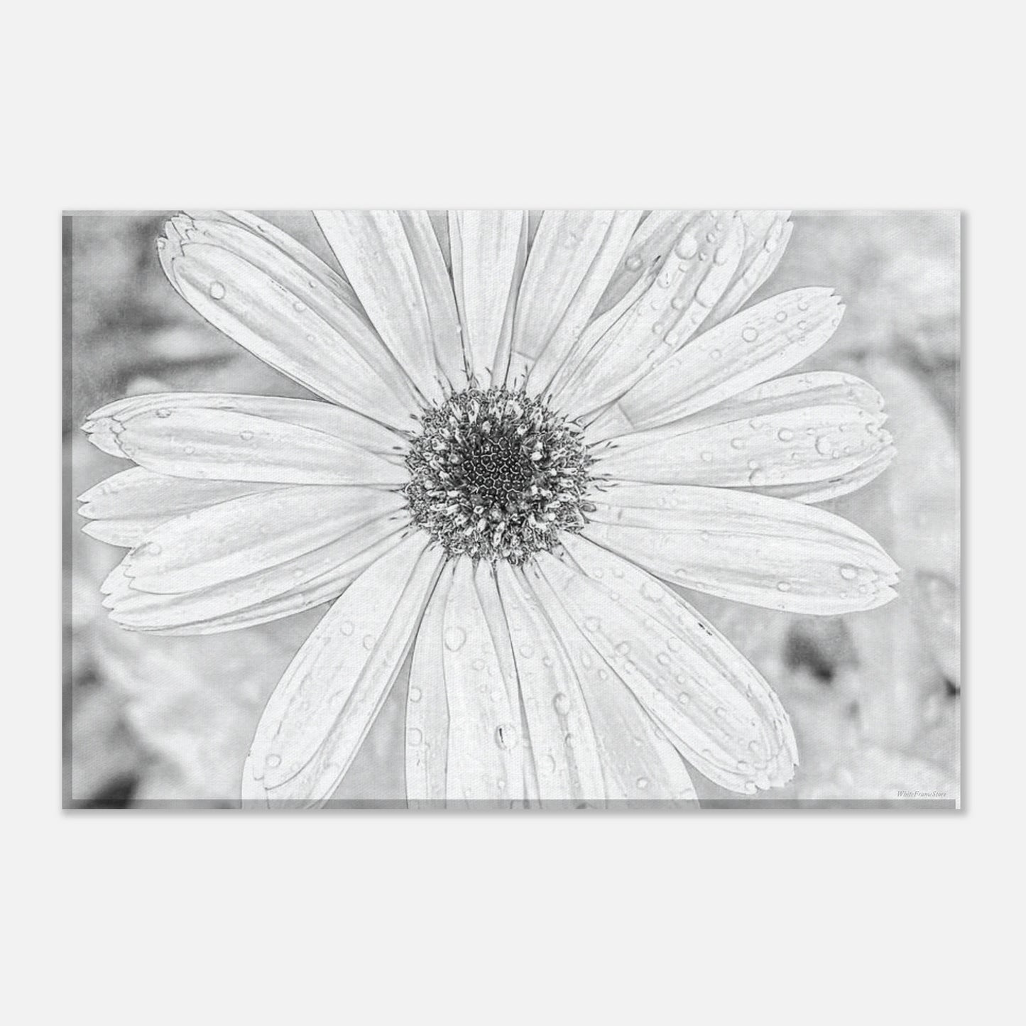 c68190e6-7326-42a8-ac8a-390734004757