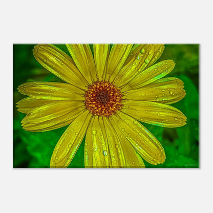 c6965070-f39a-4c4f-a085-91867770a5f9