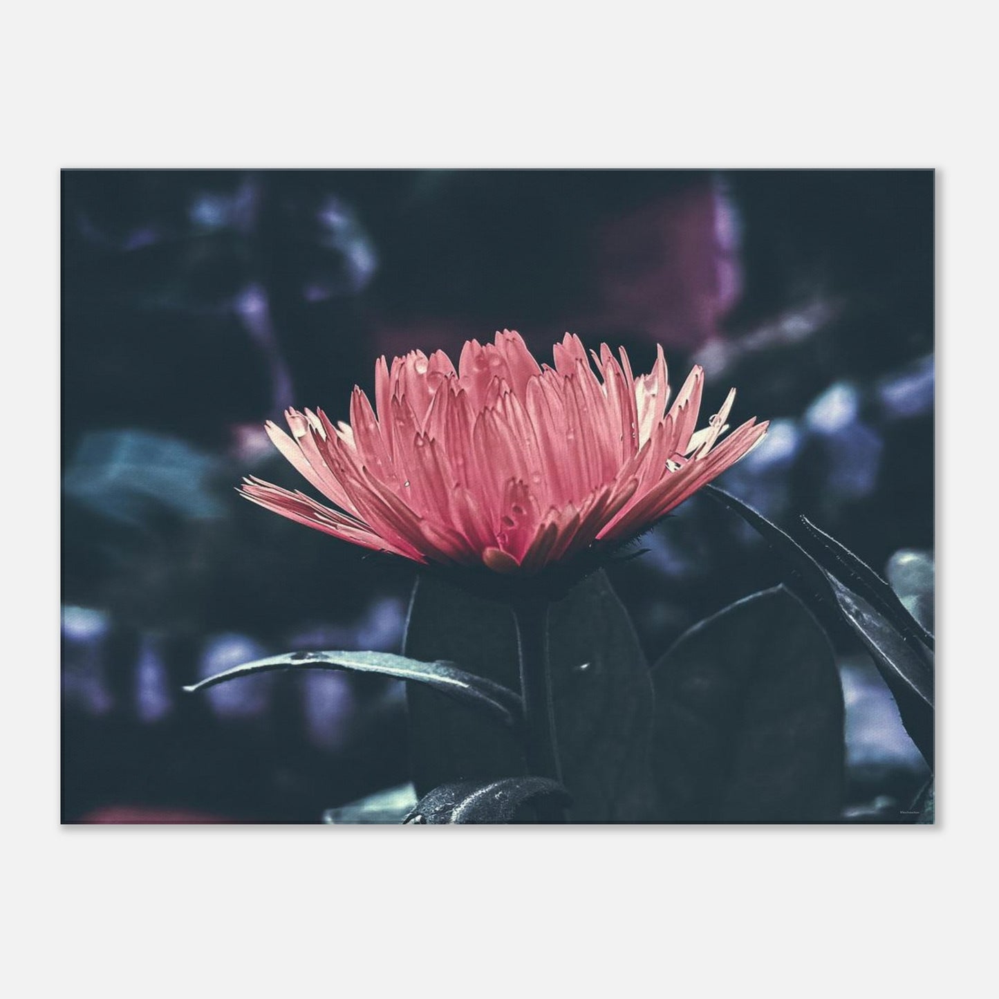 c6b05f0b-57ab-43af-ad3c-b02a10b029d9